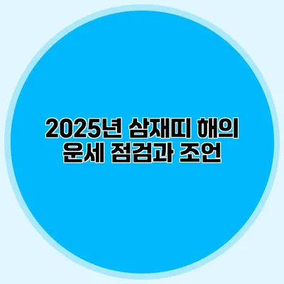 2025년 삼재띠 해의 운세 점검과 조언
