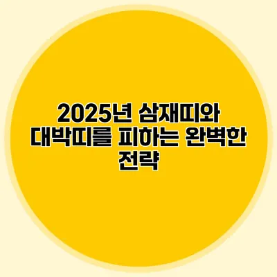 2025년 삼재띠와 대박띠를 피하는 완벽한 전략