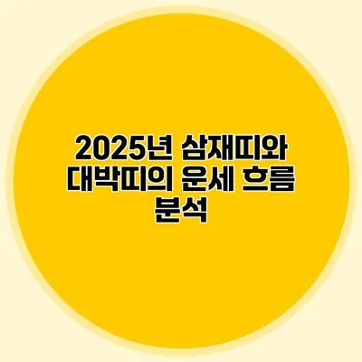 2025년 삼재띠와 대박띠의 운세 흐름 분석