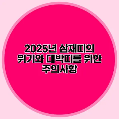2025년 삼재띠의 위기와 대박띠를 위한 주의사항