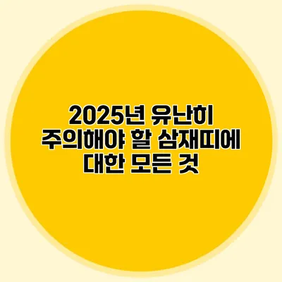 2025년 유난히 주의해야 할 삼재띠에 대한 모든 것