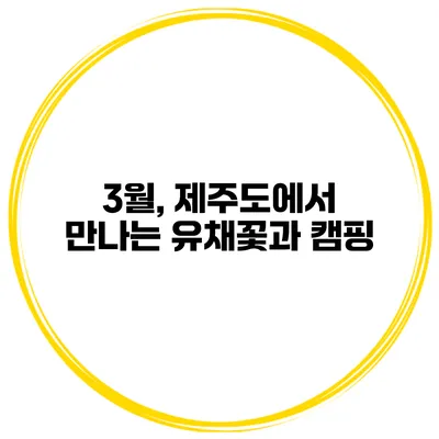 3월, 제주도에서 만나는 유채꽃과 캠핑