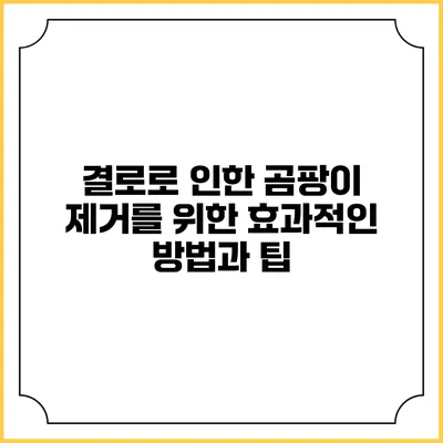 결로로 인한 곰팡이 제거를 위한 효과적인 방법과 팁