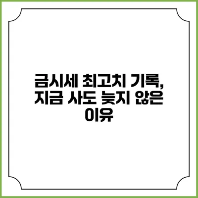금시세 최고치 기록, 지금 사도 늦지 않은 이유