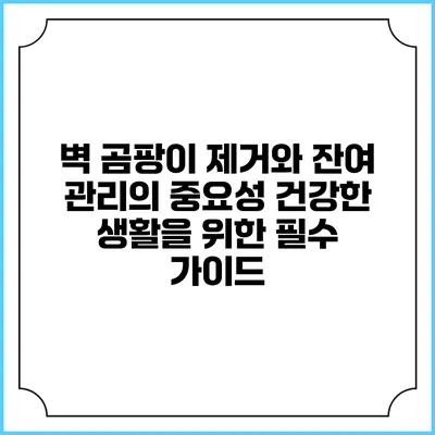 벽 곰팡이 제거와 잔여 관리의 중요성: 건강한 생활을 위한 필수 가이드