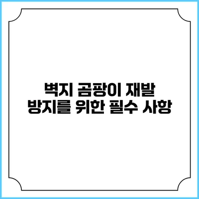 벽지 곰팡이 재발 방지를 위한 필수 사항