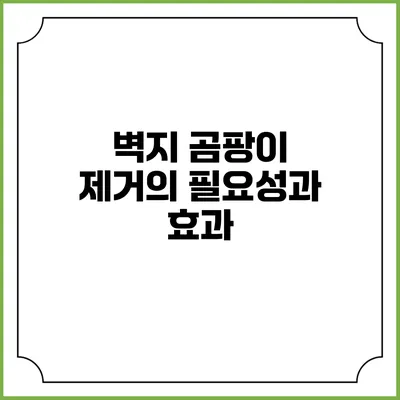 벽지 곰팡이 제거의 필요성과 효과