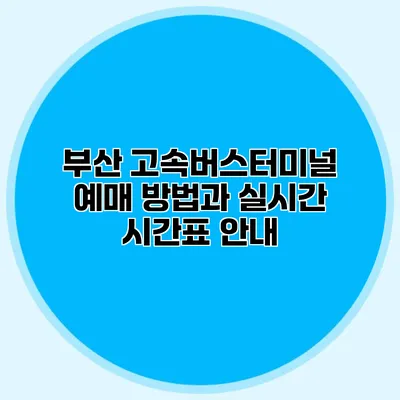 부산 고속버스터미널 예매 방법과 실시간 시간표 안내