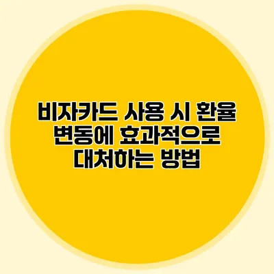 비자카드 사용 시 환율 변동에 효과적으로 대처하는 방법