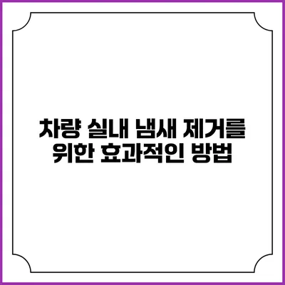 차량 실내 냄새 제거를 위한 효과적인 방법