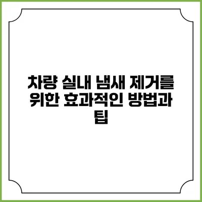 차량 실내 냄새 제거를 위한 효과적인 방법과 팁
