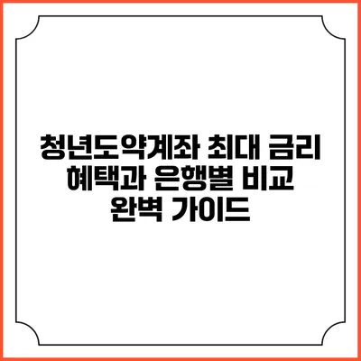 청년도약계좌: 최대 금리 혜택과 은행별 비교 완벽 가이드