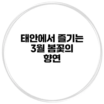 태안에서 즐기는 3월 봄꽃의 향연
