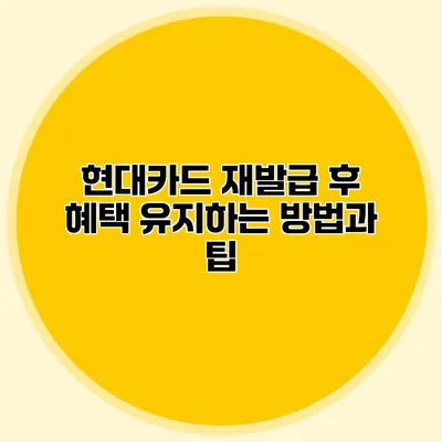 현대카드 재발급 후 혜택 유지하는 방법과 팁