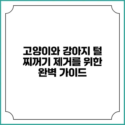 고양이와 강아지 털 찌꺼기 제거를 위한 완벽 가이드