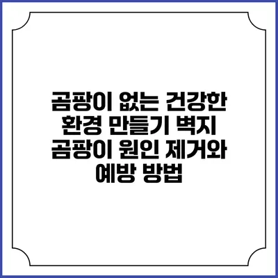 곰팡이 없는 건강한 환경 만들기: 벽지 곰팡이 원인 제거와 예방 방법