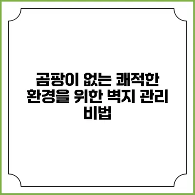 곰팡이 없는 쾌적한 환경을 위한 벽지 관리 비법