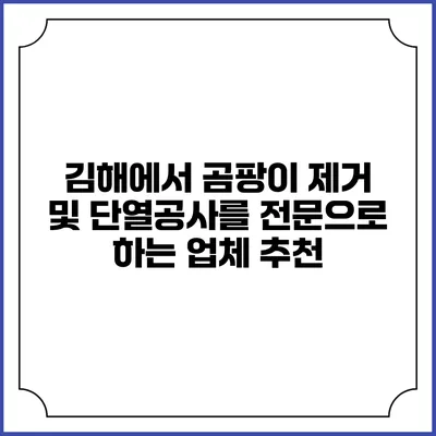김해에서 곰팡이 제거 및 단열공사를 전문으로 하는 업체 추천