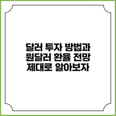 달러 투자 방법과 원달러 환율 전망 제대로 알아보자