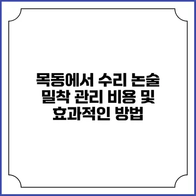 목동에서 수리 논술 밀착 관리: 비용 및 효과적인 방법