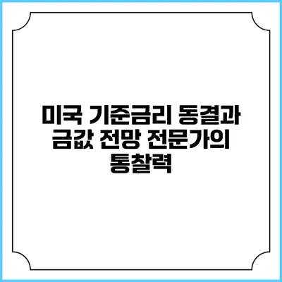 미국 기준금리 동결과 금값 전망: 전문가의 통찰력