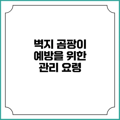 벽지 곰팡이 예방을 위한 관리 요령