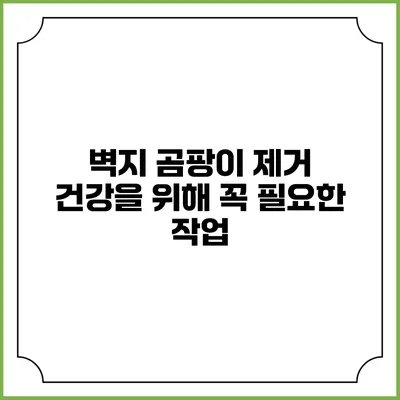 벽지 곰팡이 제거: 건강을 위해 꼭 필요한 작업