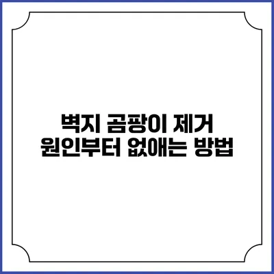 벽지 곰팡이 제거: 원인부터 없애는 방법