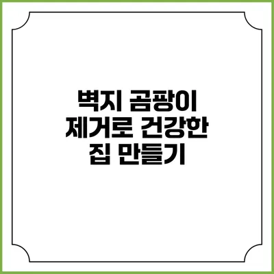 벽지 곰팡이 제거로 건강한 집 만들기