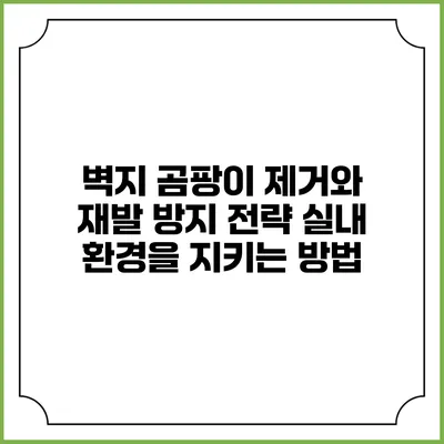 벽지 곰팡이 제거와 재발 방지 전략: 실내 환경을 지키는 방법