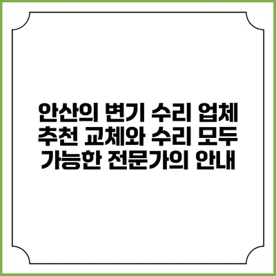 안산의 변기 수리 업체 추천: 교체와 수리 모두 가능한 전문가의 안내