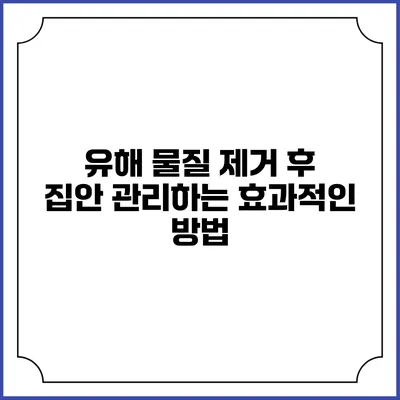 유해 물질 제거 후 집안 관리하는 효과적인 방법
