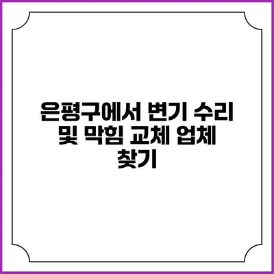 은평구에서 변기 수리 및 막힘 교체 업체 찾기