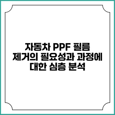 자동차 PPF 필름 제거의 필요성과 과정에 대한 심층 분석