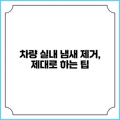 차량 실내 냄새 제거, 제대로 하는 팁
