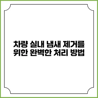 차량 실내 냄새 제거를 위한 완벽한 처리 방법