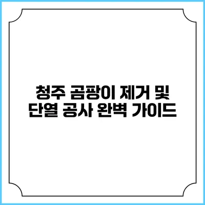 청주 곰팡이 제거 및 단열 공사 완벽 가이드
