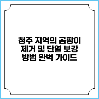 청주 지역의 곰팡이 제거 및 단열 보강 방법 완벽 가이드