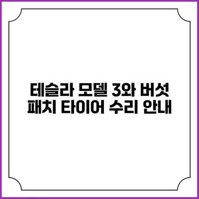 테슬라 모델 3와 버섯 패치 타이어 수리 안내