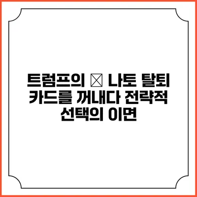 트럼프의 美 나토 탈퇴 카드를 꺼내다: 전략적 선택의 이면