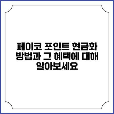 페이코 포인트 현금화 방법과 그 혜택에 대해 알아보세요