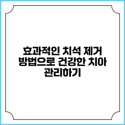 효과적인 치석 제거 방법으로 건강한 치아 관리하기